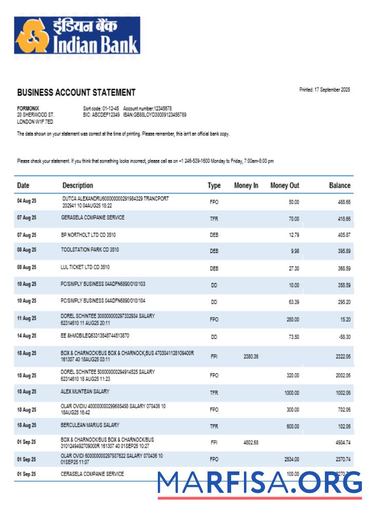 Printable Bank of Indian organization checking account statement Word and PDF template
